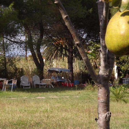 Pefka Studios & Apartments Halkidiki Dış mekan fotoğraf