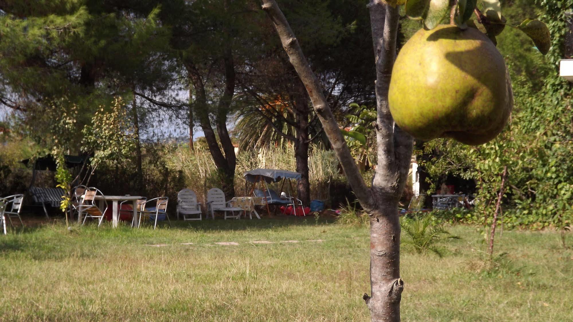 Pefka Studios & Apartments Halkidiki Dış mekan fotoğraf