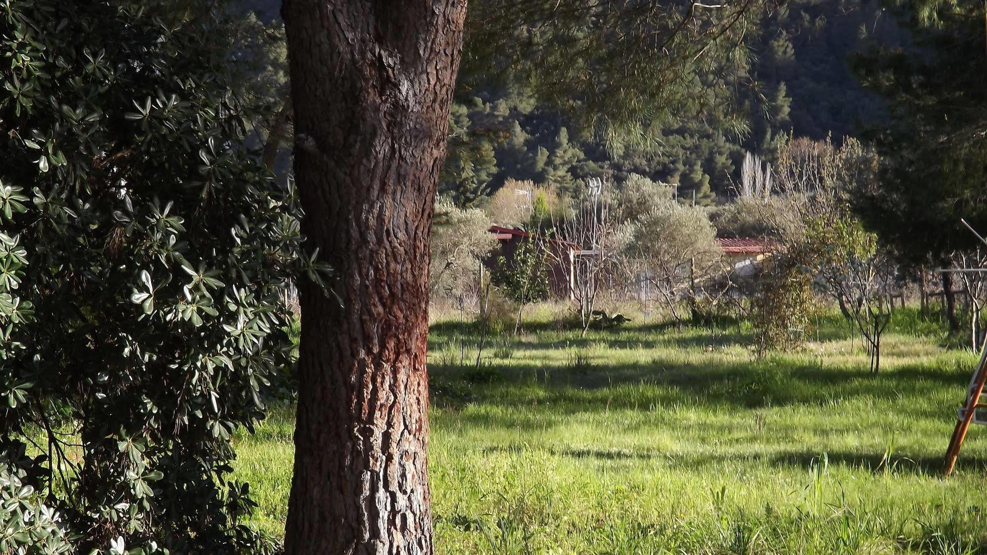 Pefka Studios & Apartments Halkidiki Dış mekan fotoğraf