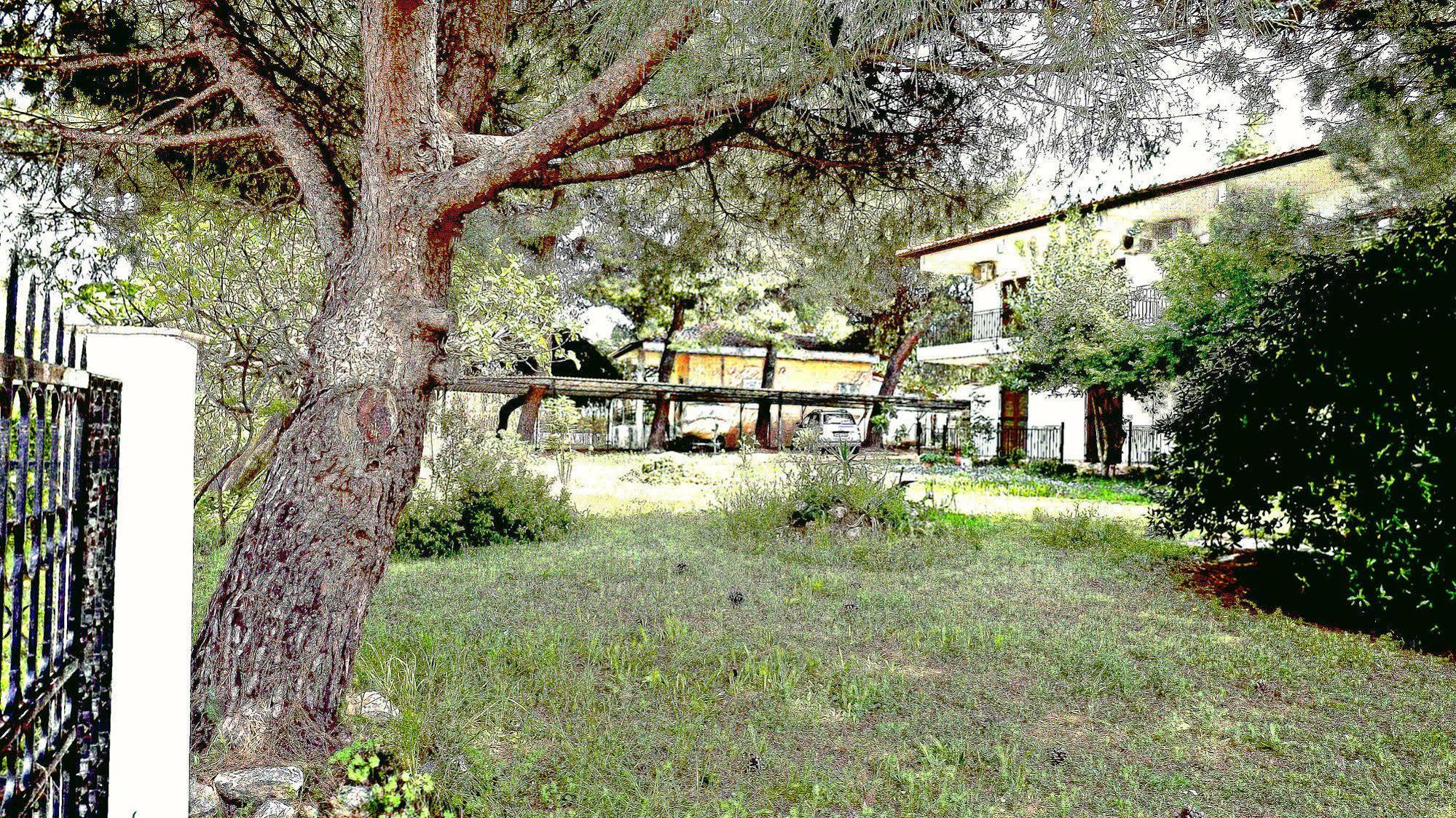 Pefka Studios & Apartments Halkidiki Dış mekan fotoğraf