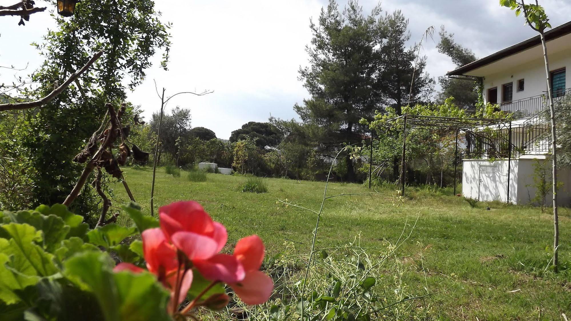 Pefka Studios & Apartments Halkidiki Dış mekan fotoğraf