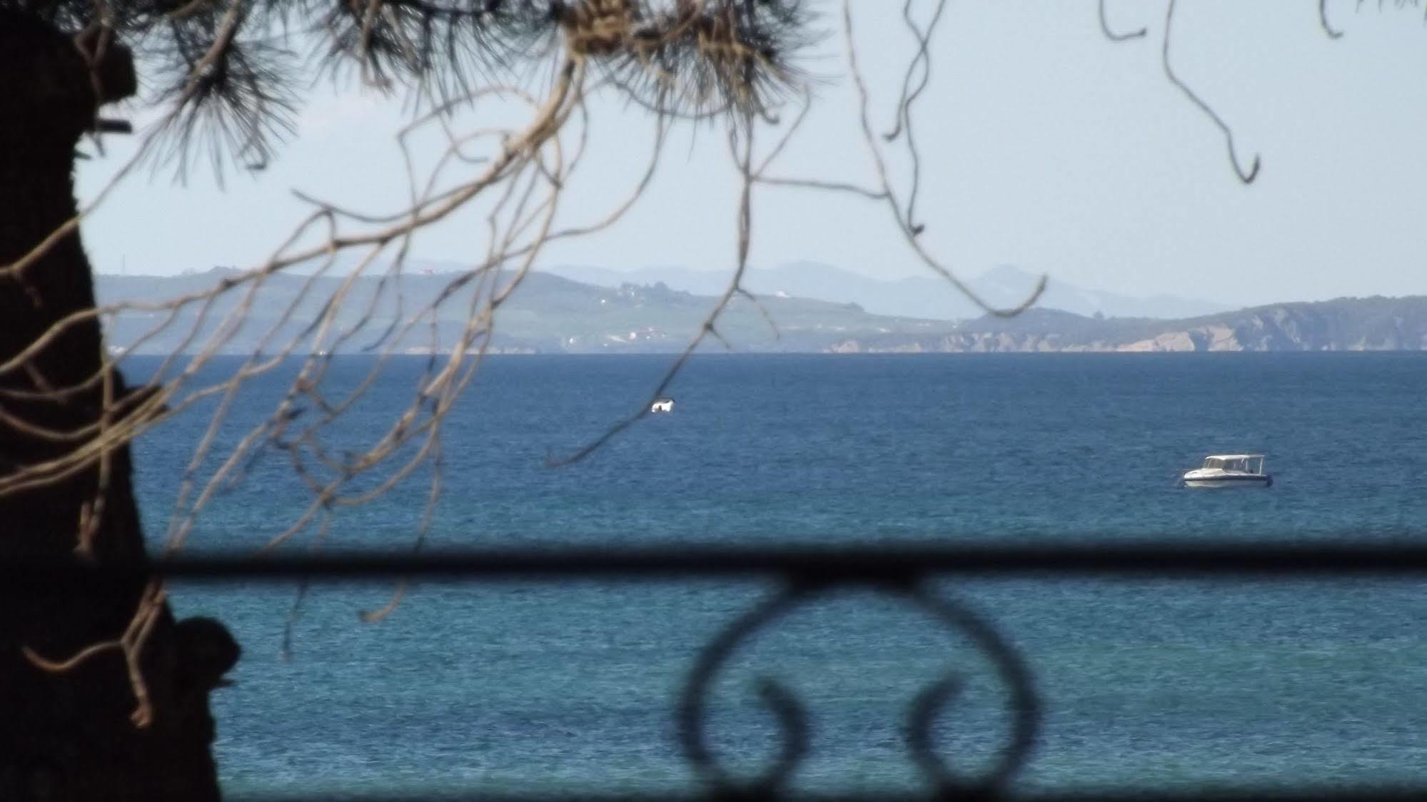 Pefka Studios & Apartments Halkidiki Dış mekan fotoğraf