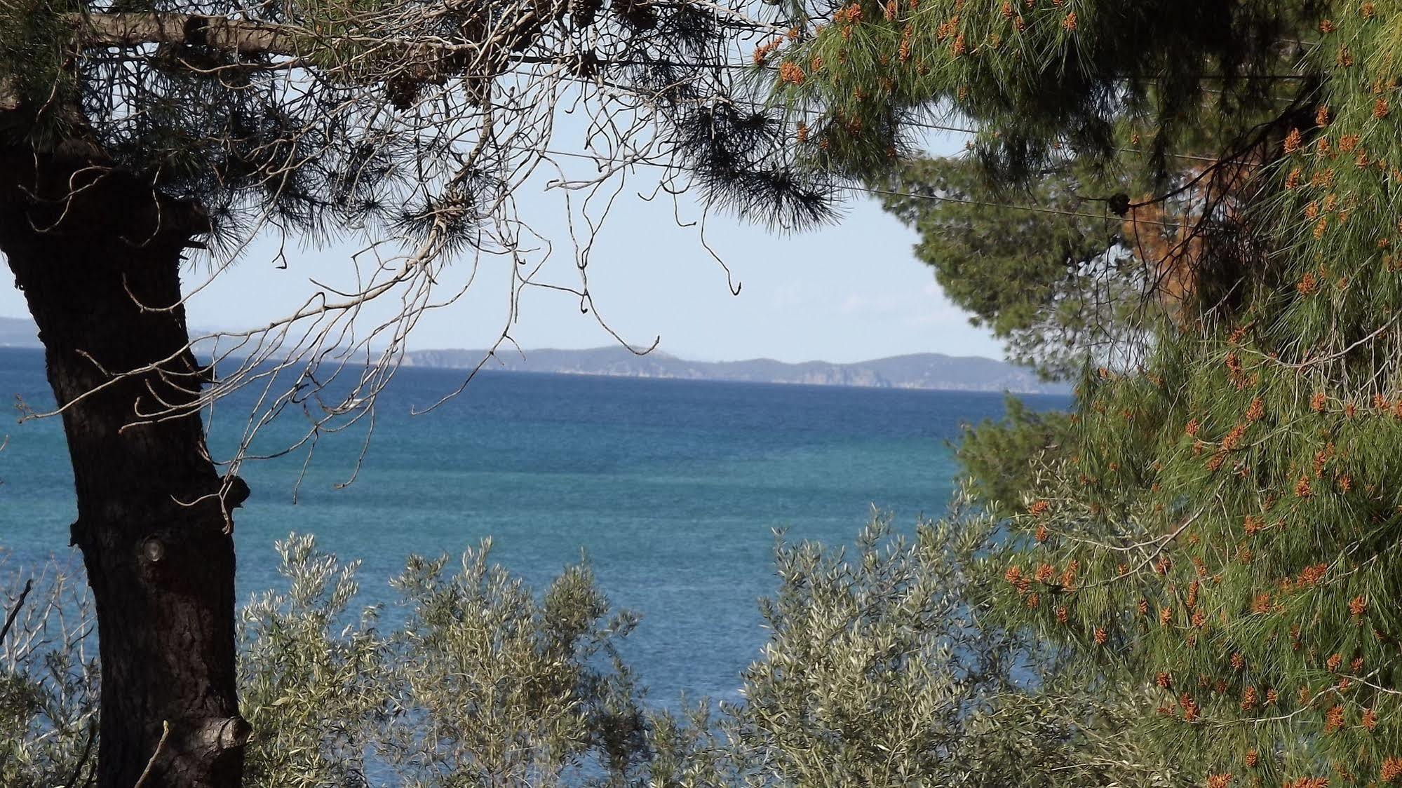 Pefka Studios & Apartments Halkidiki Dış mekan fotoğraf