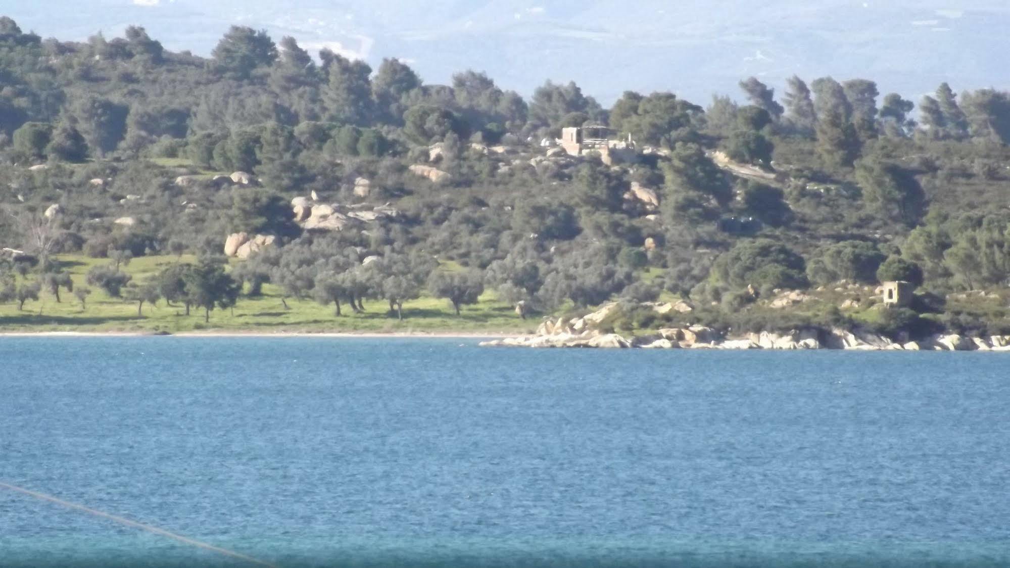 Pefka Studios & Apartments Halkidiki Dış mekan fotoğraf